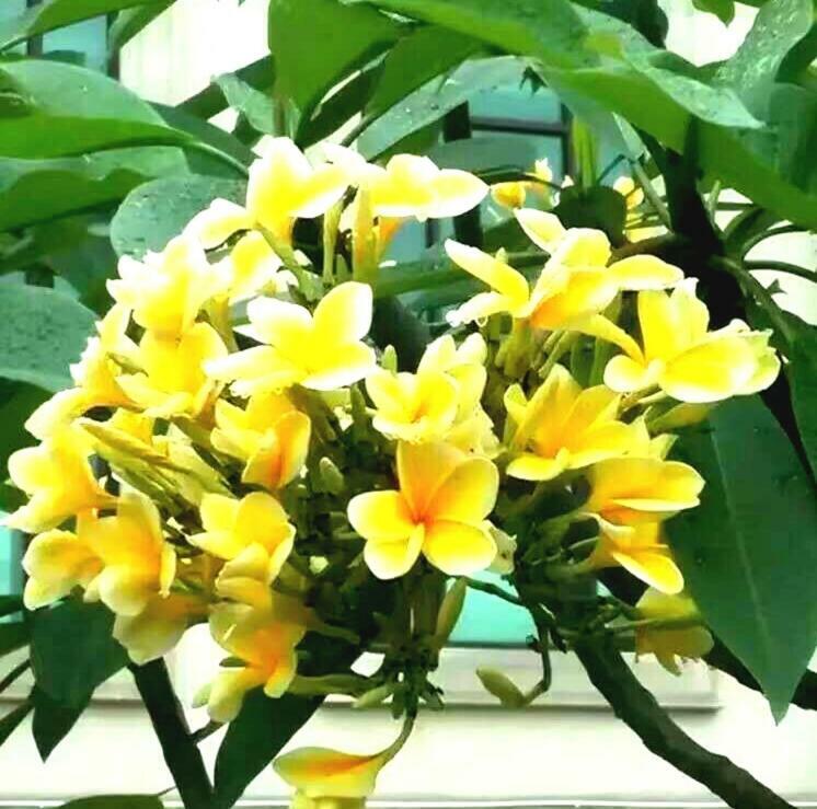 โรงแรม แอลเอ็น ดงฟาง ซีหุย Sihui ภายนอก รูปภาพ